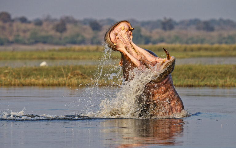 _DSC2928_HD_1-1 - Hendrik Louw